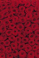 ОБОИ/KOMAR/фотообои 4/Roses, Фотообои 270*197 см
