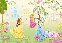 ОБОИ/KOMAR/фотообои 4/Princess, Фотообои 254*184 см